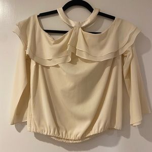 Alice + Olivia gently used silk top
